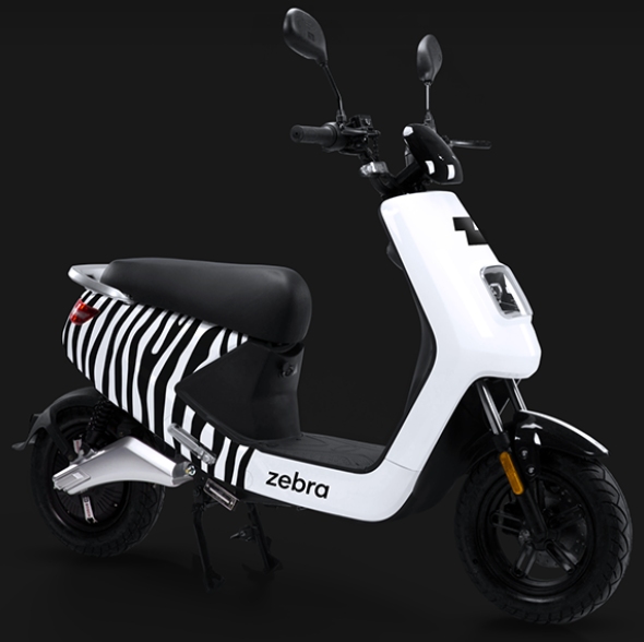 zebra scooter