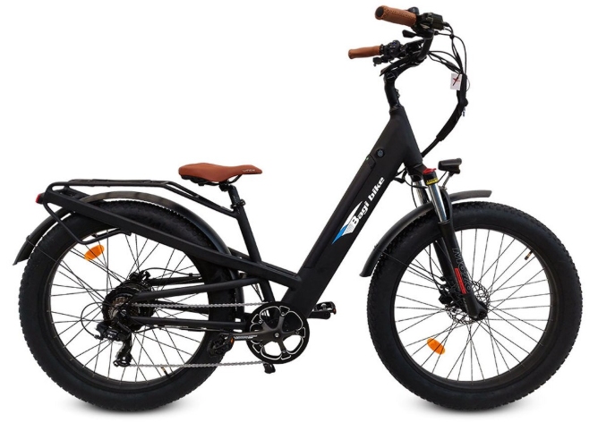 Bagi ebikes Bagi ebikes