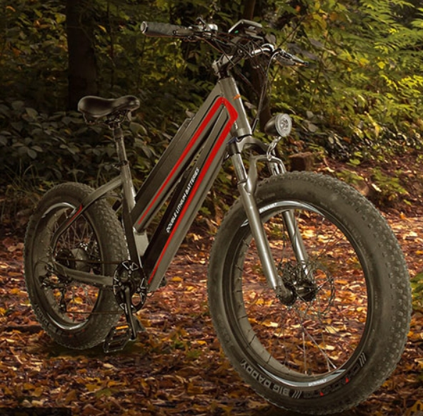 Daymak ebikes Daymak ebikes