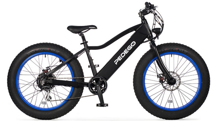 electric fat tire bike (Pedego)